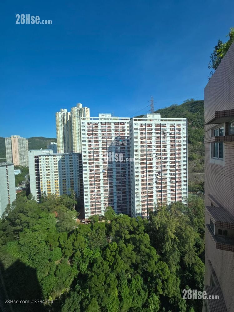 Greenknoll Court Rental 2 Bedrooms , 1 Bathroom 465 ft²
