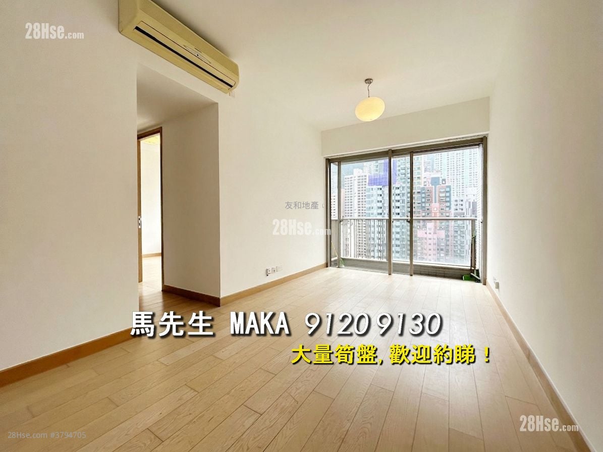 Island Crest Rental 1 Bedroom , 1 Bathroom 552 ft²