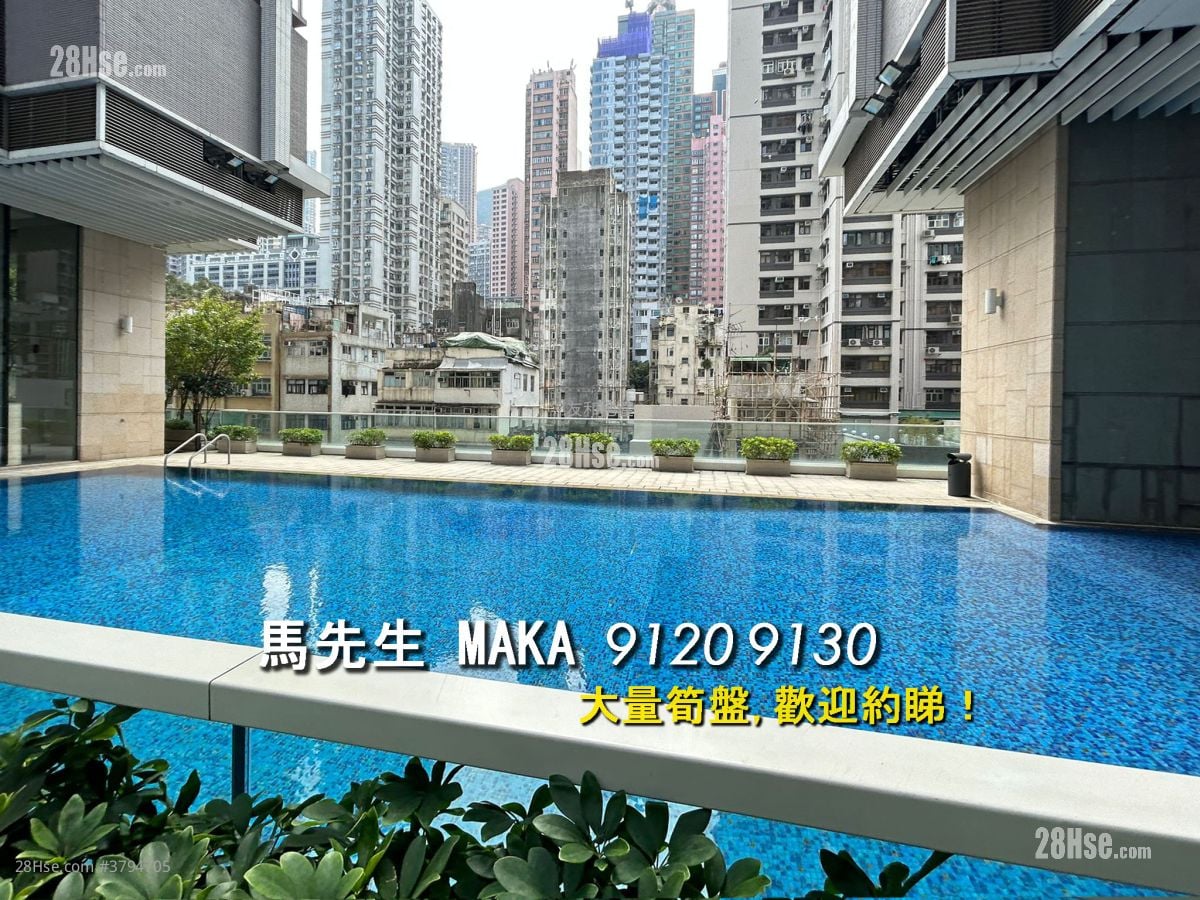 Island Crest Rental 1 Bedroom , 1 Bathroom 552 ft²