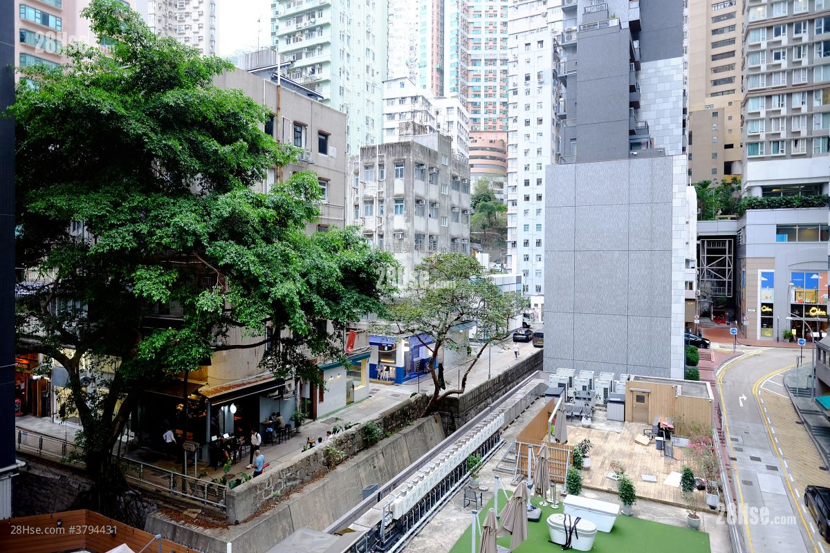 天台: 永丰街1号 租盘 1 房 , 1 浴室 480 平方尺