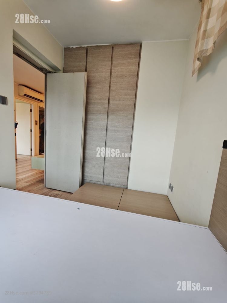 将军澳中心 租盘 384 平方尺