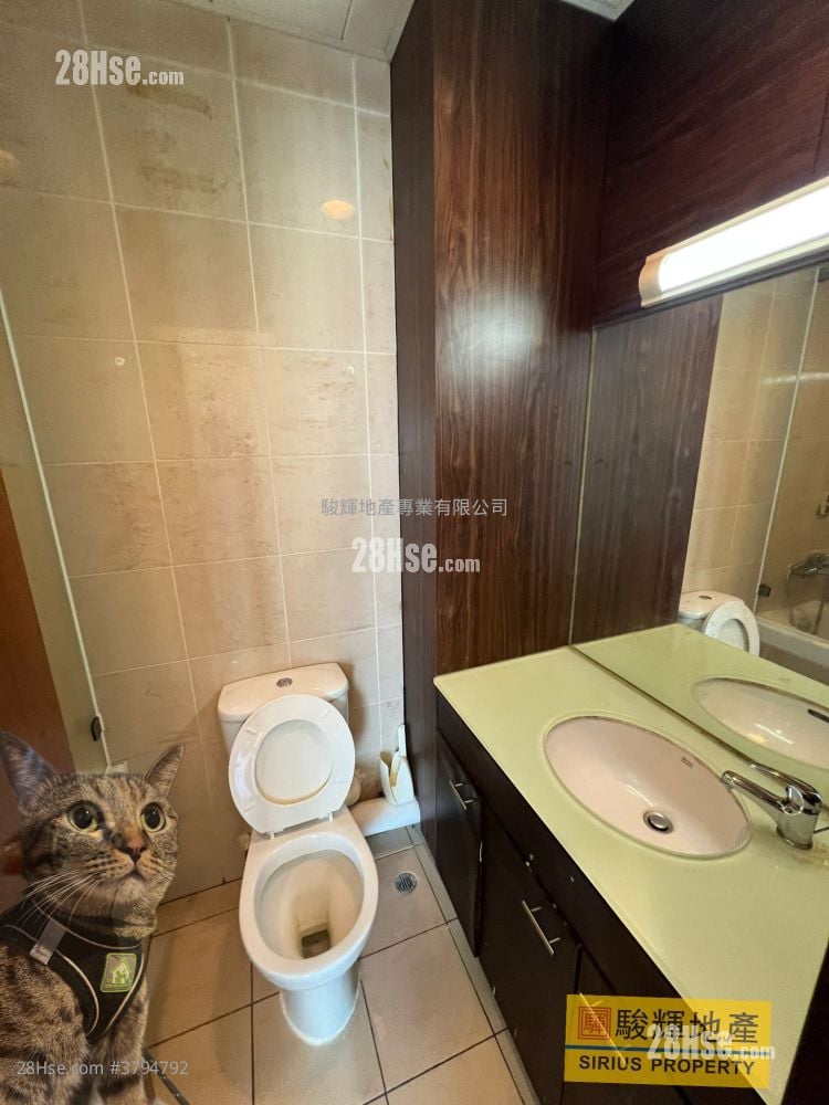 Flourish Mansion Rental 2 Bedrooms , 1 Bathroom 427 ft²