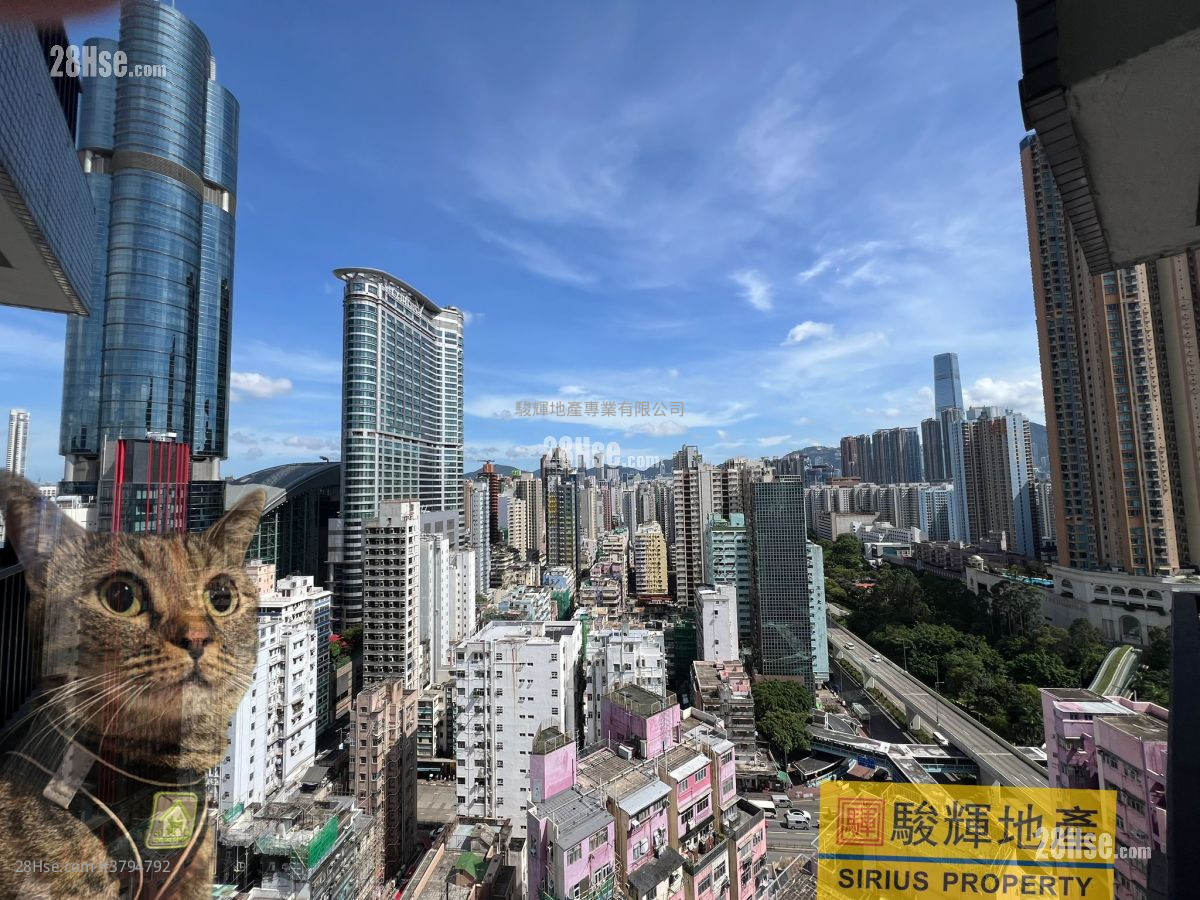 Flourish Mansion Rental 2 Bedrooms , 1 Bathroom 427 ft²