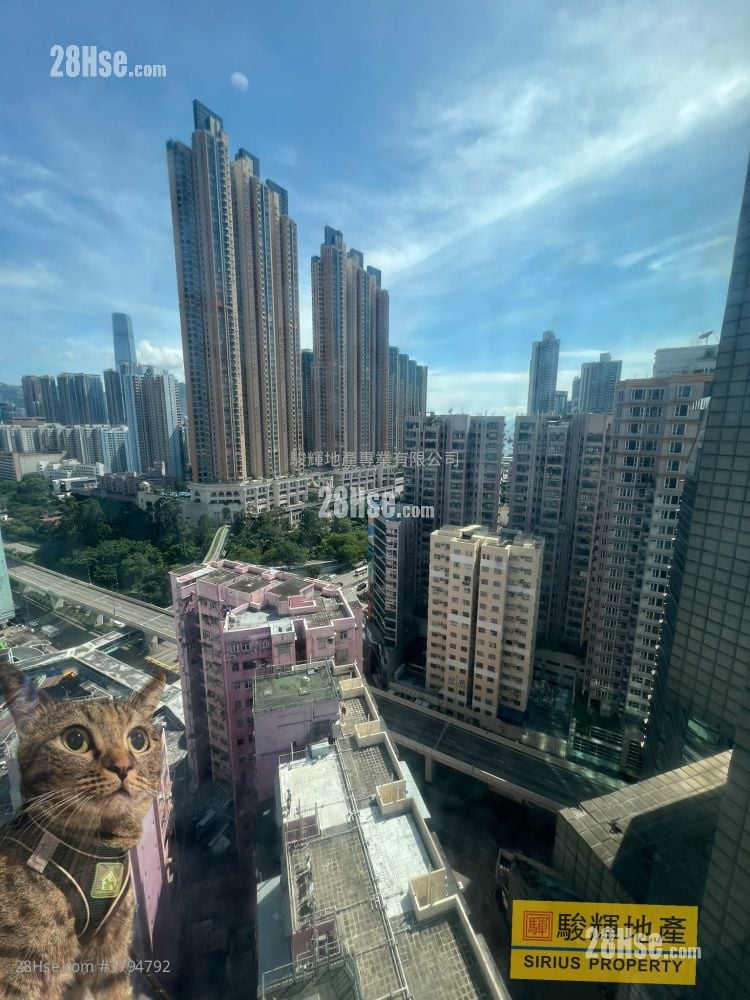 Flourish Mansion Rental 2 Bedrooms , 1 Bathroom 427 ft²