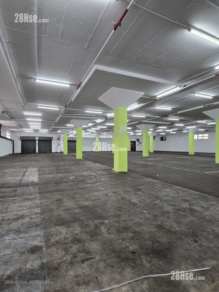 中侨货仓大厦 租盘