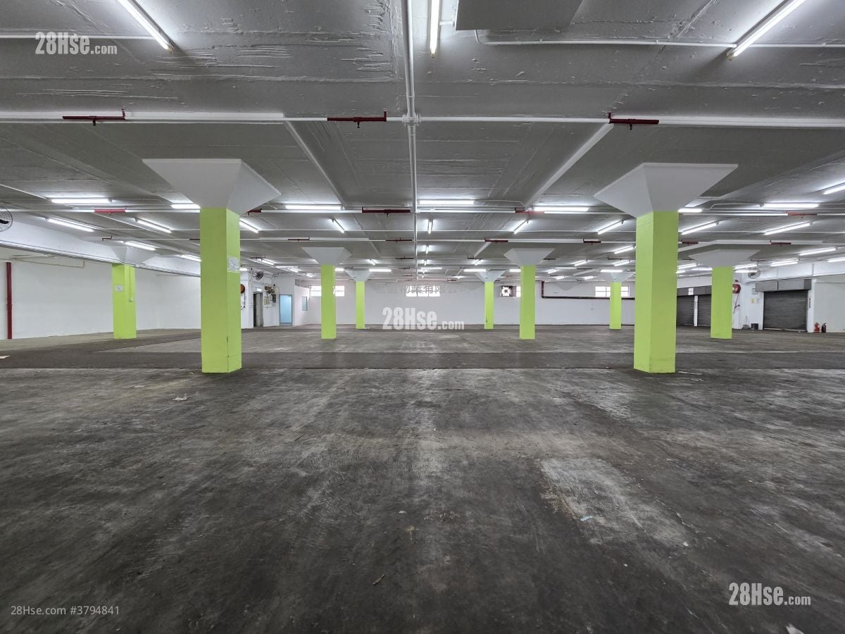 中侨货仓大厦 租盘