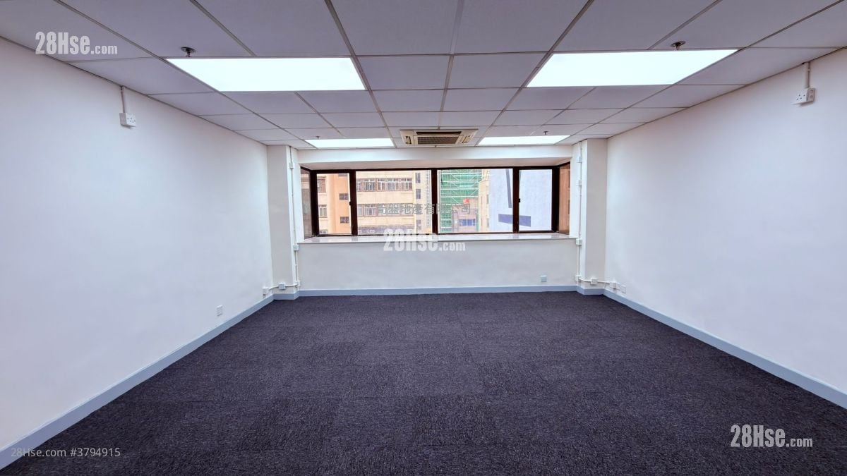 鸿宝商业大厦 租盘