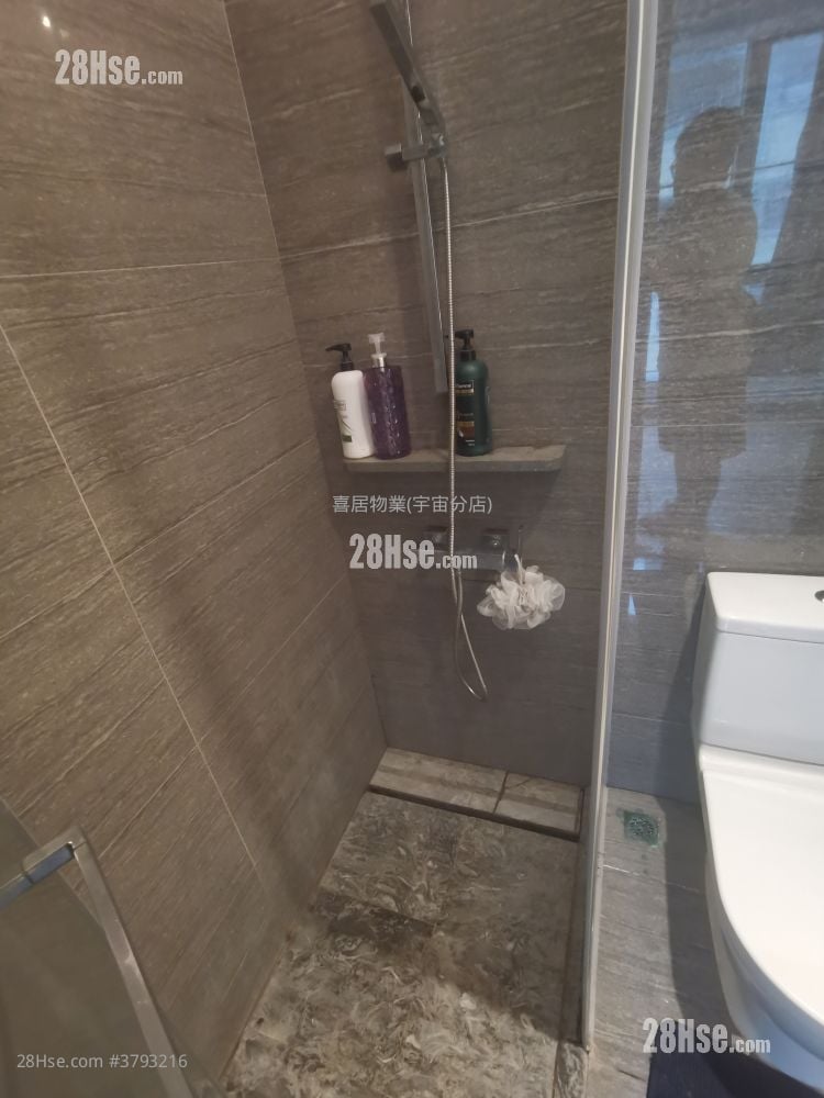 High One Rental 1 Bedroom , 1 Bathroom 273 ft²