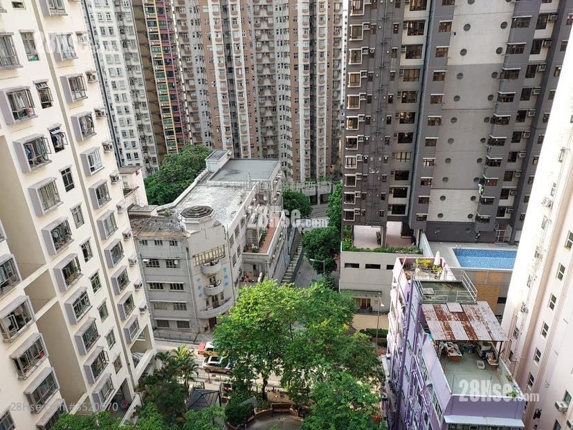 薄扶林道63号 售盘 开放式间隔 , 1 浴室 263 平方尺