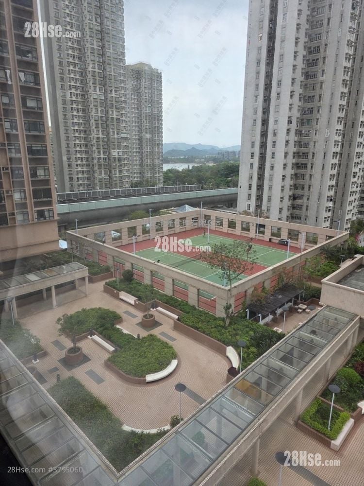 新港城 售盘 3 房 519 平方尺