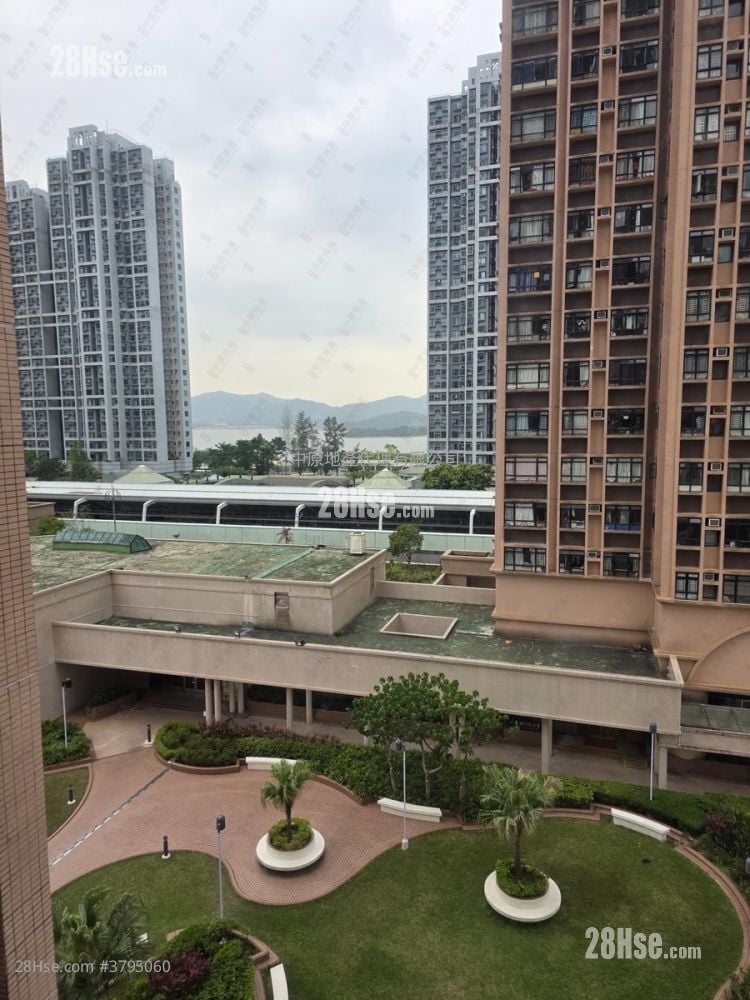 新港城 售盘 3 房 519 平方尺