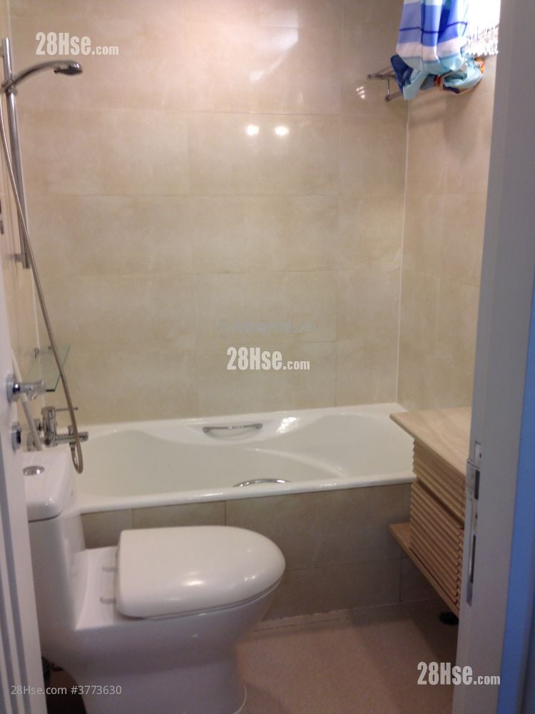 The Apex Rental 2 Bedrooms , 1 Bathroom 452 ft²