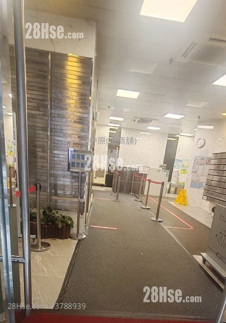 Dragon Industrial Building Sell 3 Toilets