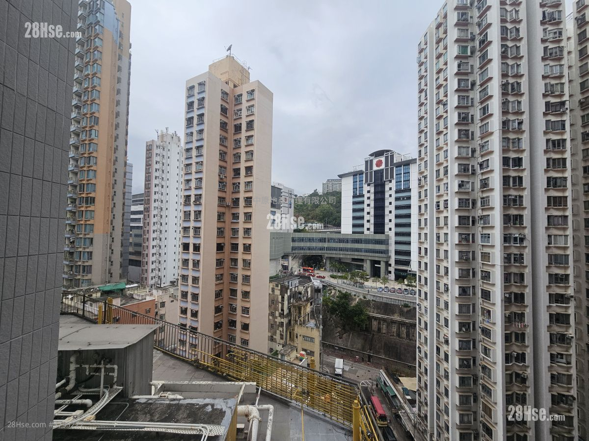 幸荟 租盘 开放式间隔 , 1 浴室 237 平方尺