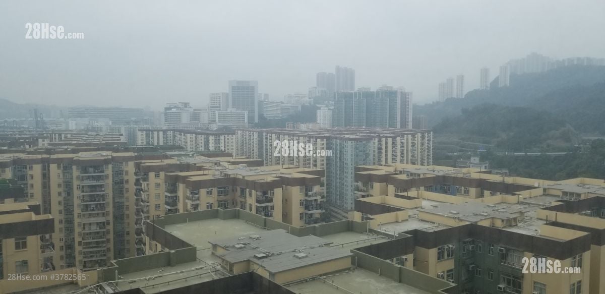 Manhattan Hill Rental 558 ft²