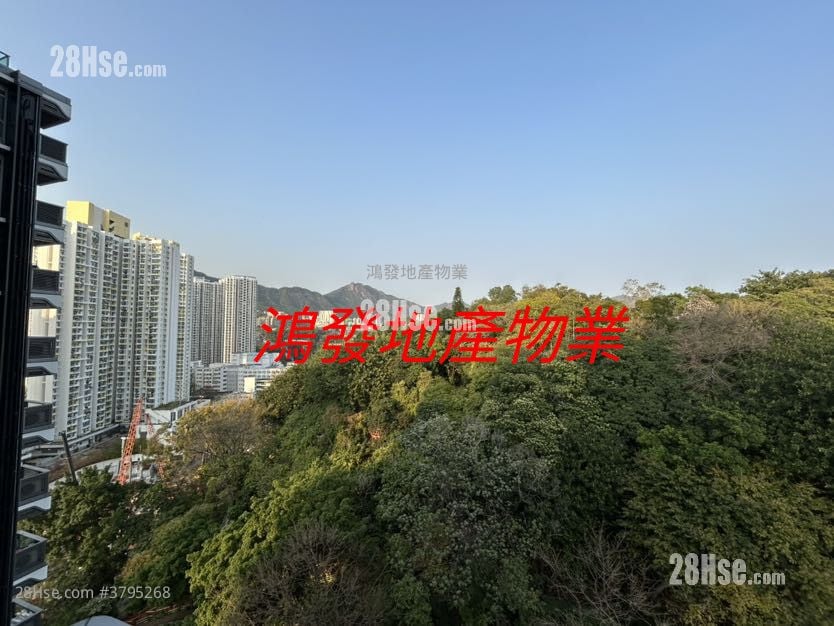 晓柏峰 租盘 1 房 , 1 浴室 234 平方尺