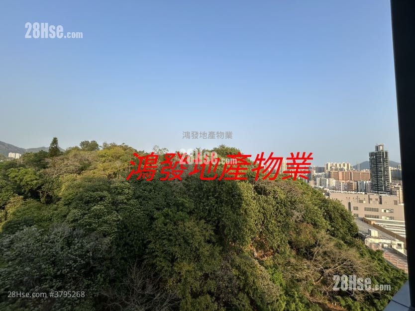 晓柏峰 租盘 1 房 , 1 浴室 234 平方尺