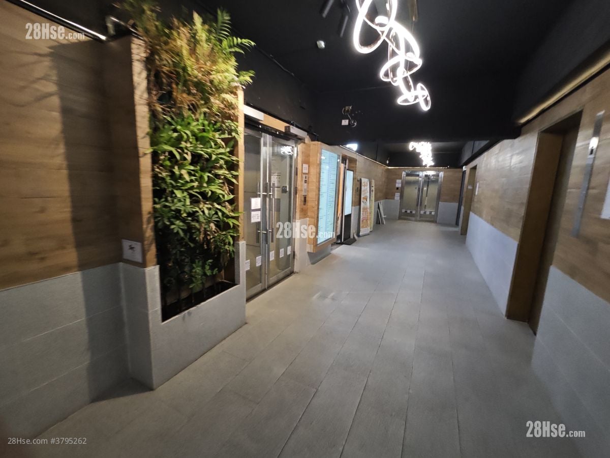 骆驼漆大厦 租盘