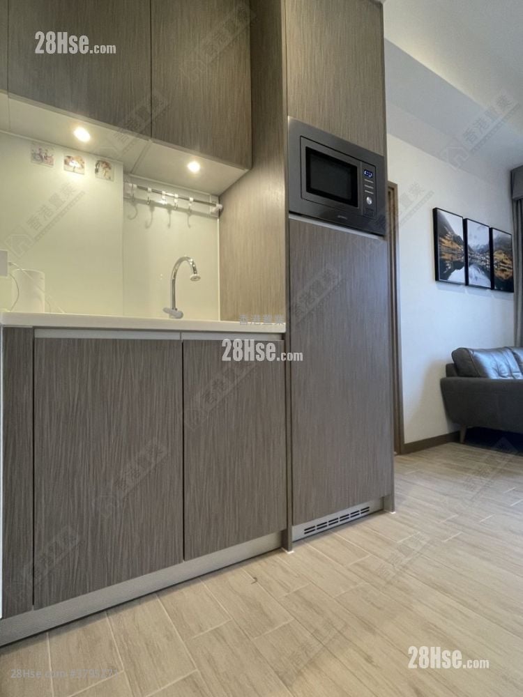 傲凯 售盘 1 房 299 平方尺