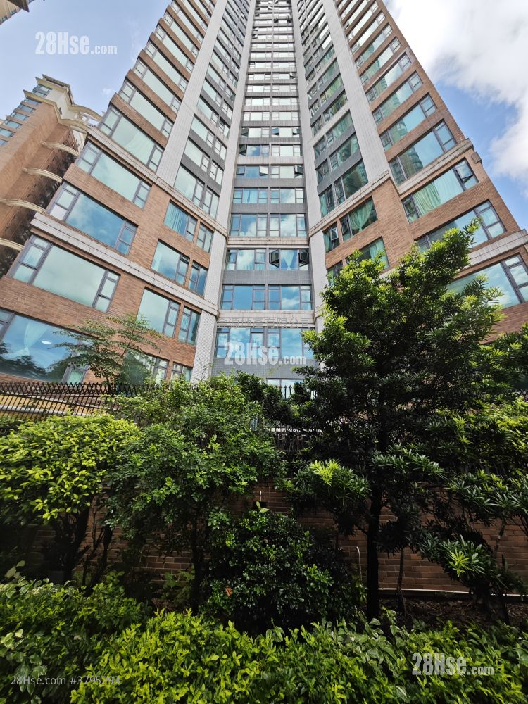 Dragon View Rental 5+ Bedrooms 767 ft²