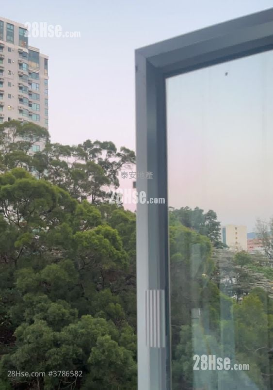 泽丰大厦 租盘 1 浴室 362 平方尺