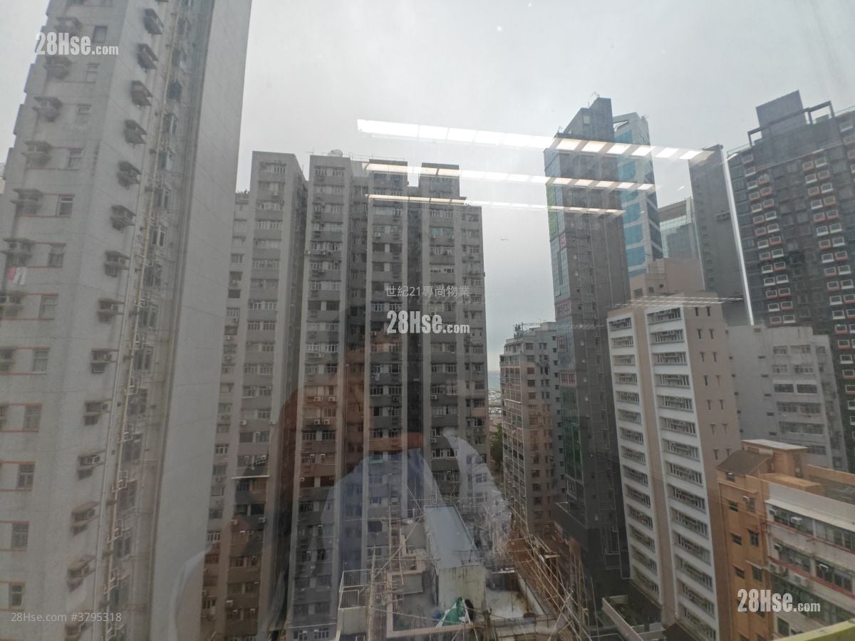 冠贸商业大厦 租盘