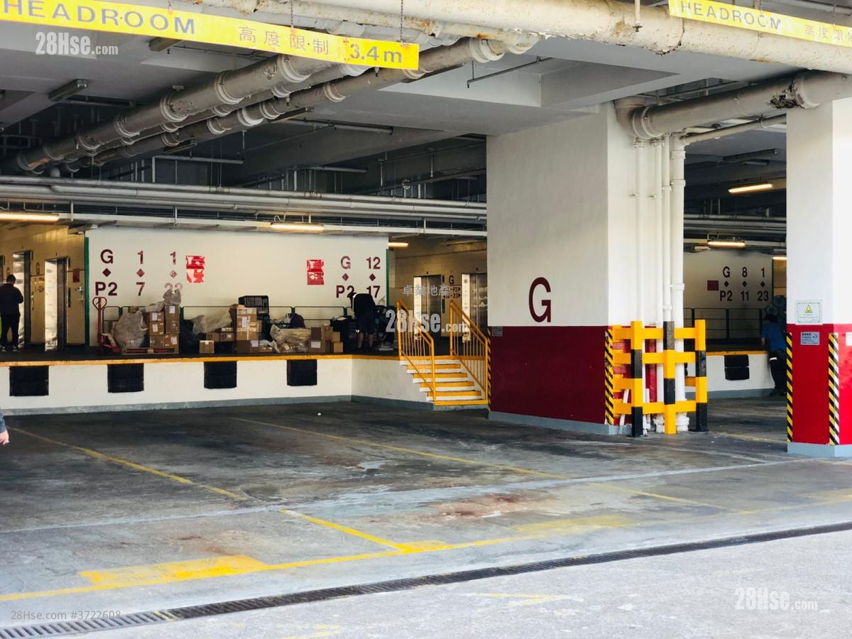 Kodak House Ii Rental