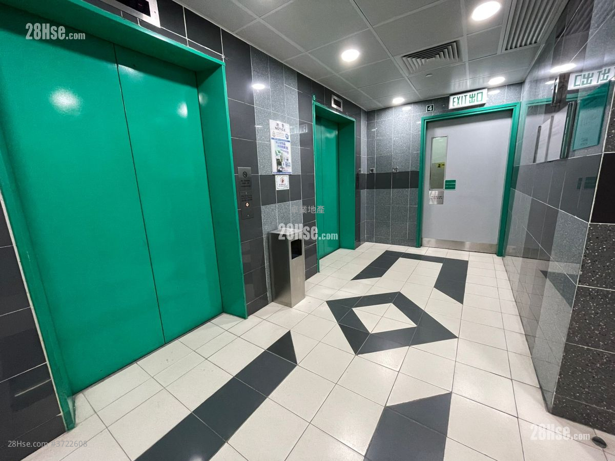 Kodak House Ii Rental