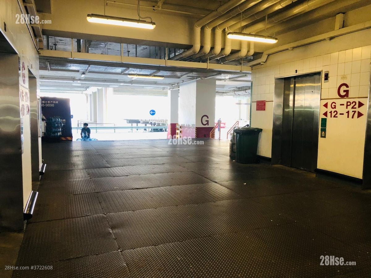 Kodak House Ii Rental