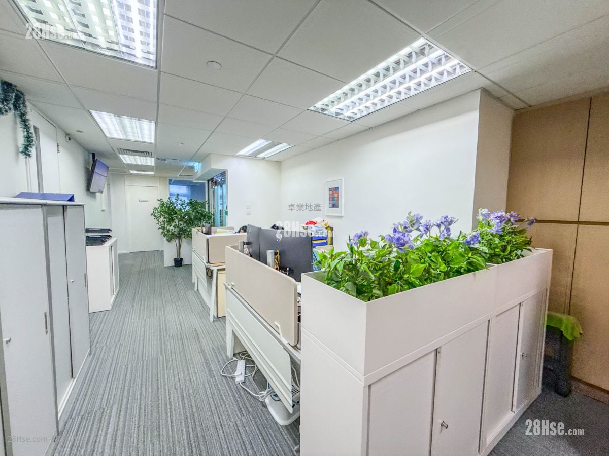 Kodak House Ii Rental