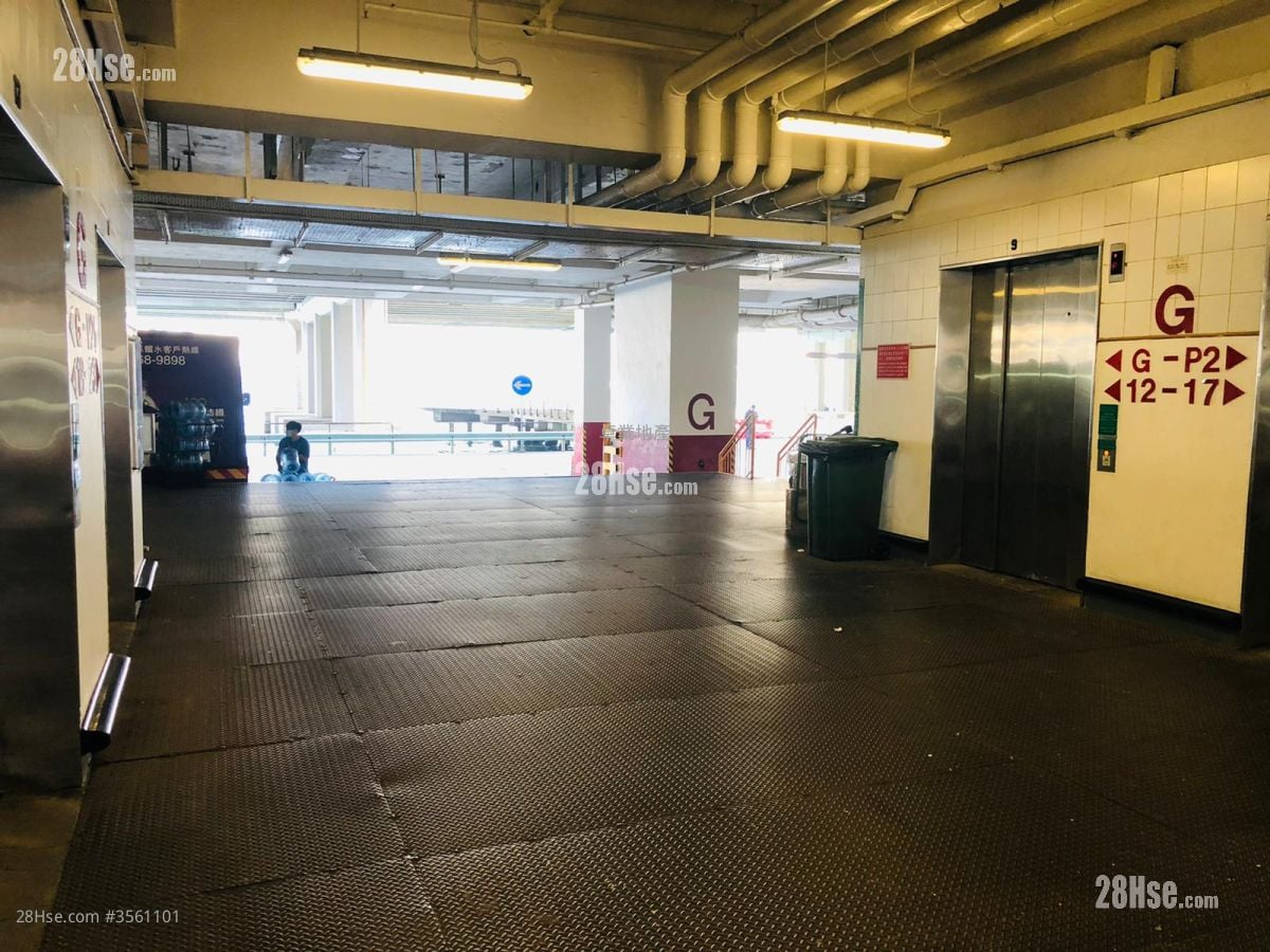 Kodak House Ii Rental