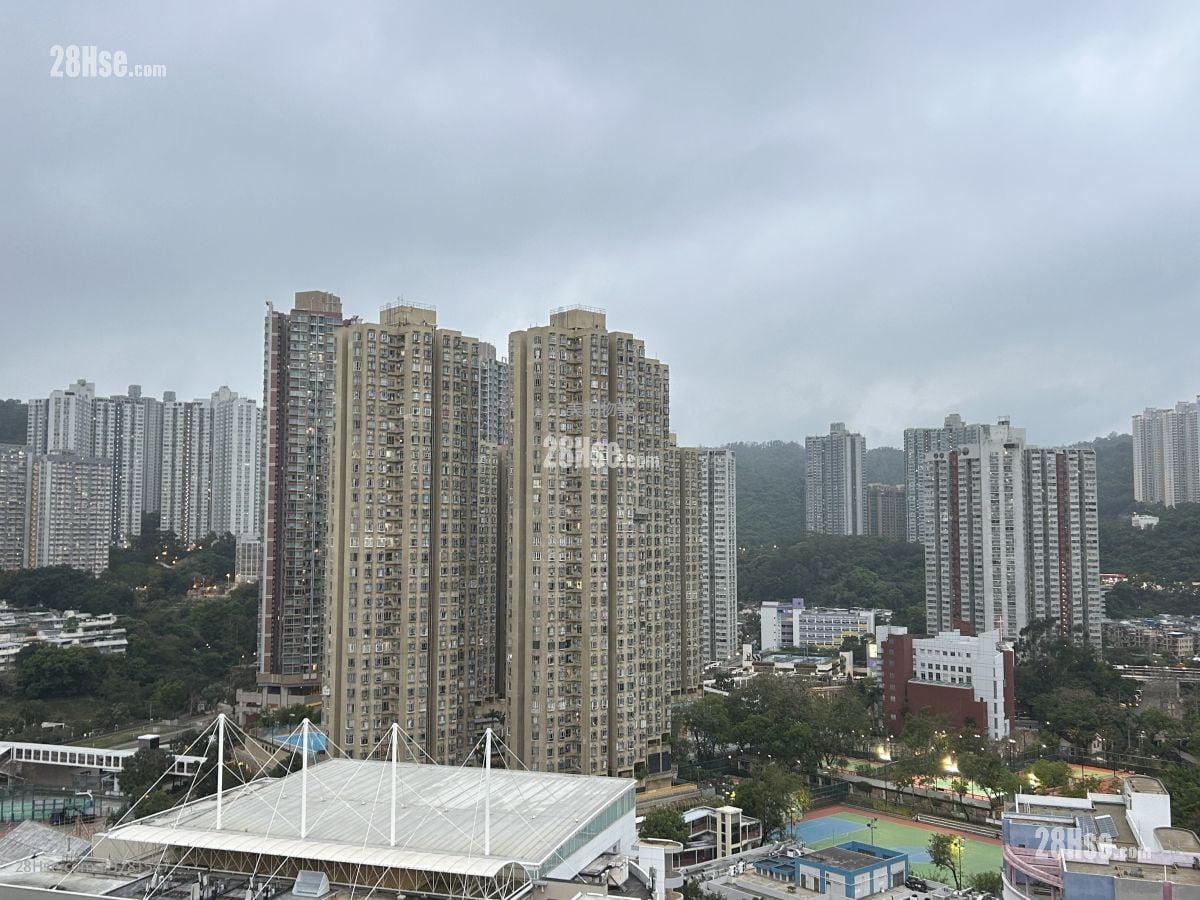 宏福花园 租盘 550 平方尺