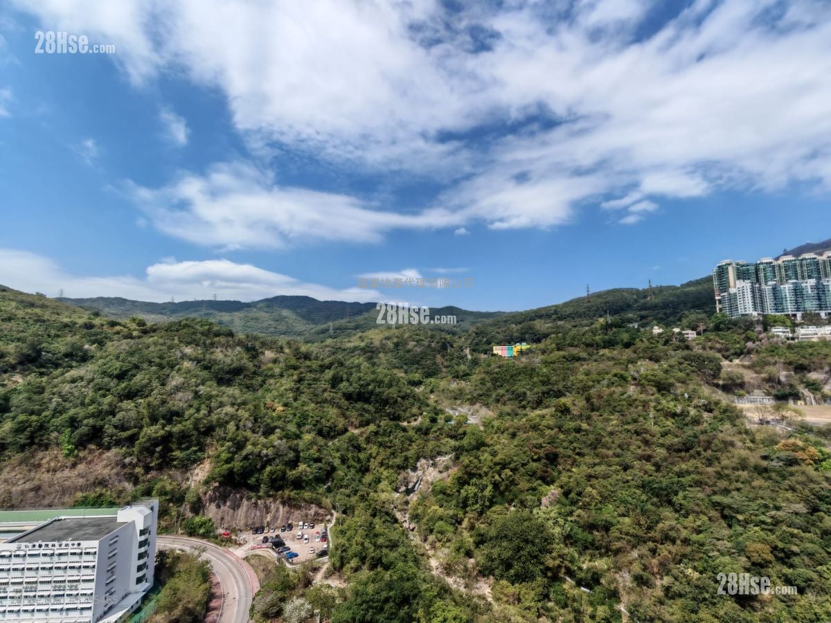 荃湾中心 租盘 1 房 , 1 浴室 290 平方尺