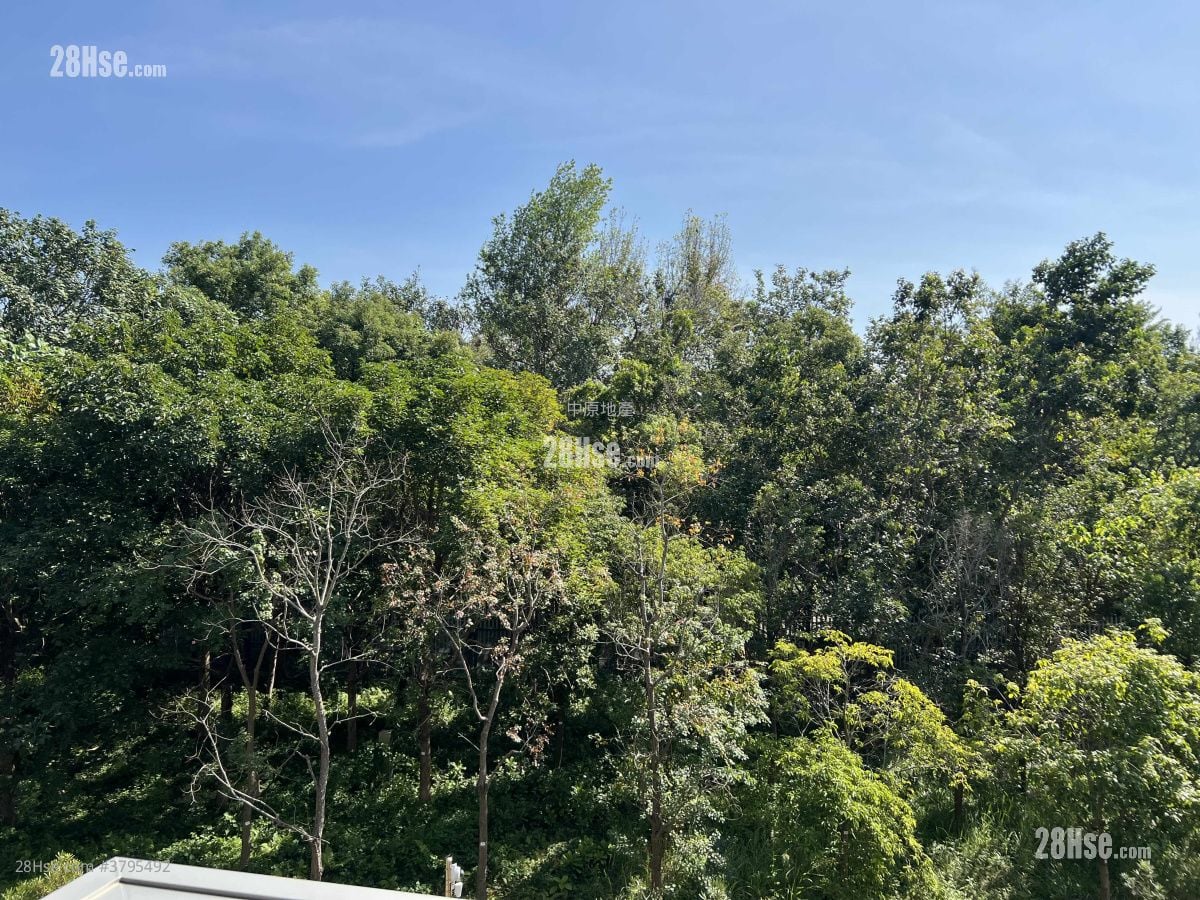 Wetland Seasons Bay Sell 4 Bedrooms , 2 Bathrooms 774 ft²