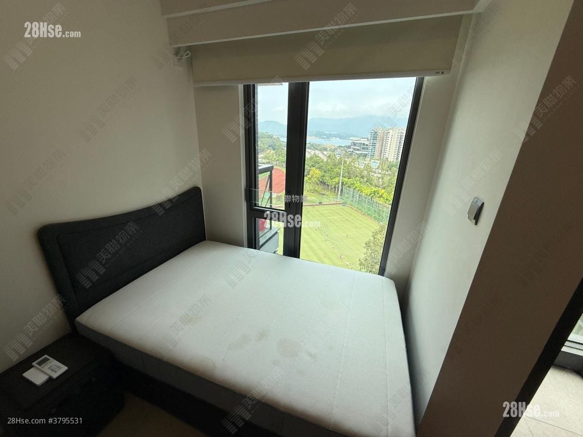 Silicon Hill Rental Studio , 1 Bathroom 217 ft²