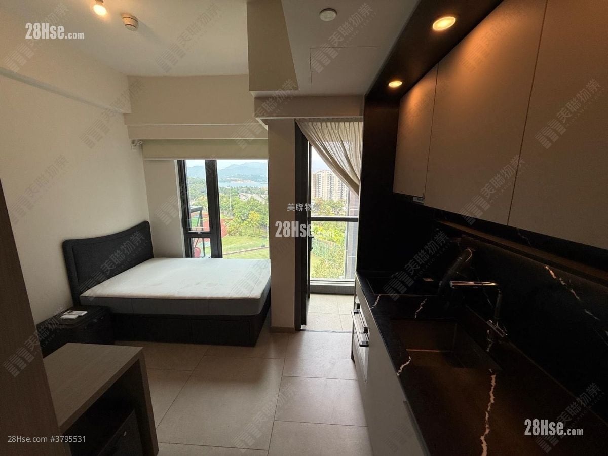 Silicon Hill Rental Studio , 1 Bathroom 217 ft²