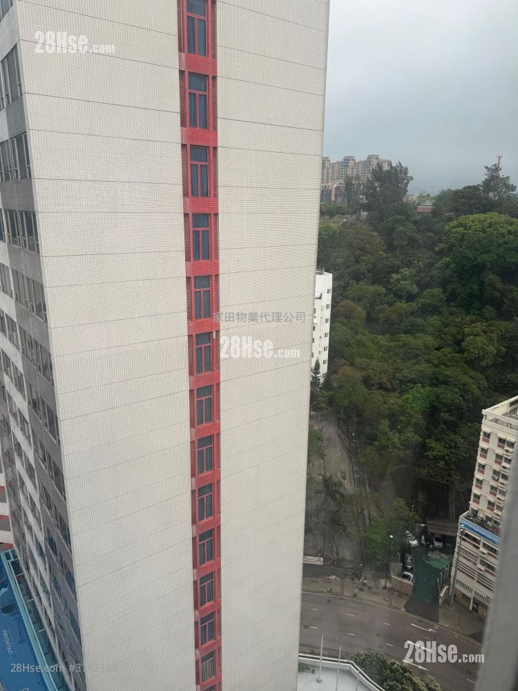 东裕大厦 租盘 1 房 , 1 浴室 302 平方尺