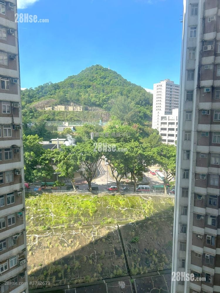 乐翠台 售盘 2 房 , 1 浴室 593 平方尺