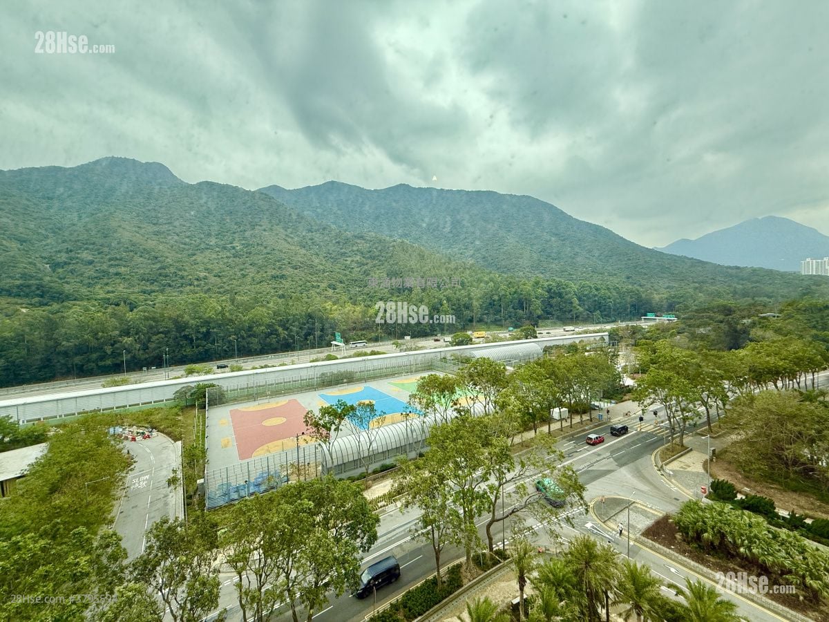 Caribbean Coast Rental 2 Bedrooms , 1 Bathroom 518 ft²