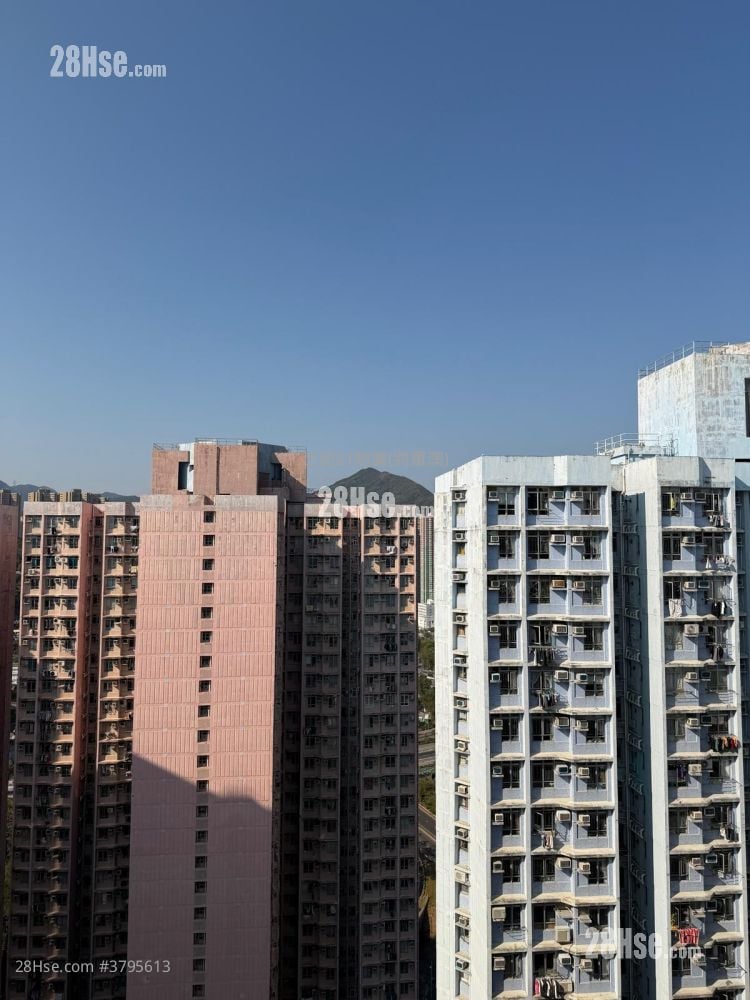 广明苑 售盘 594 平方尺