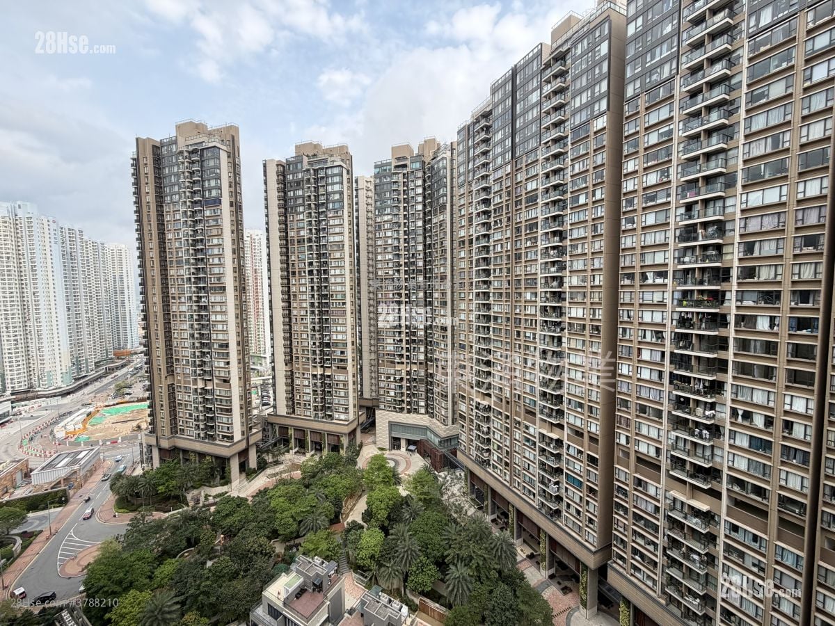 东环 租盘 1 房 377 平方尺