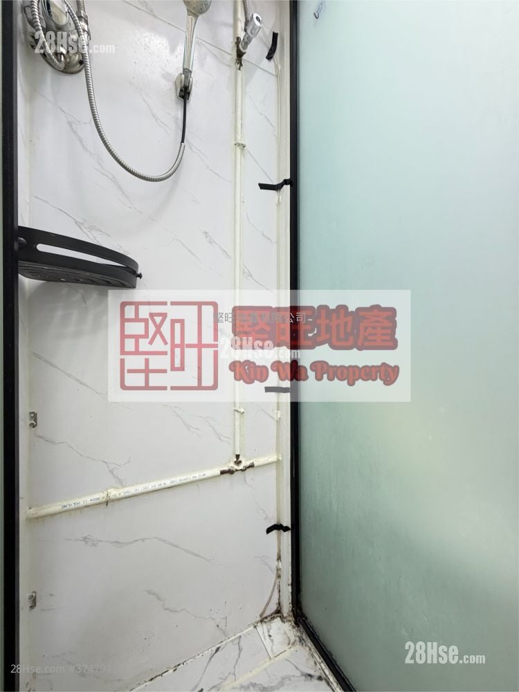 单幢楼房 租盘 开放式间隔 , 1 浴室 130 平方尺