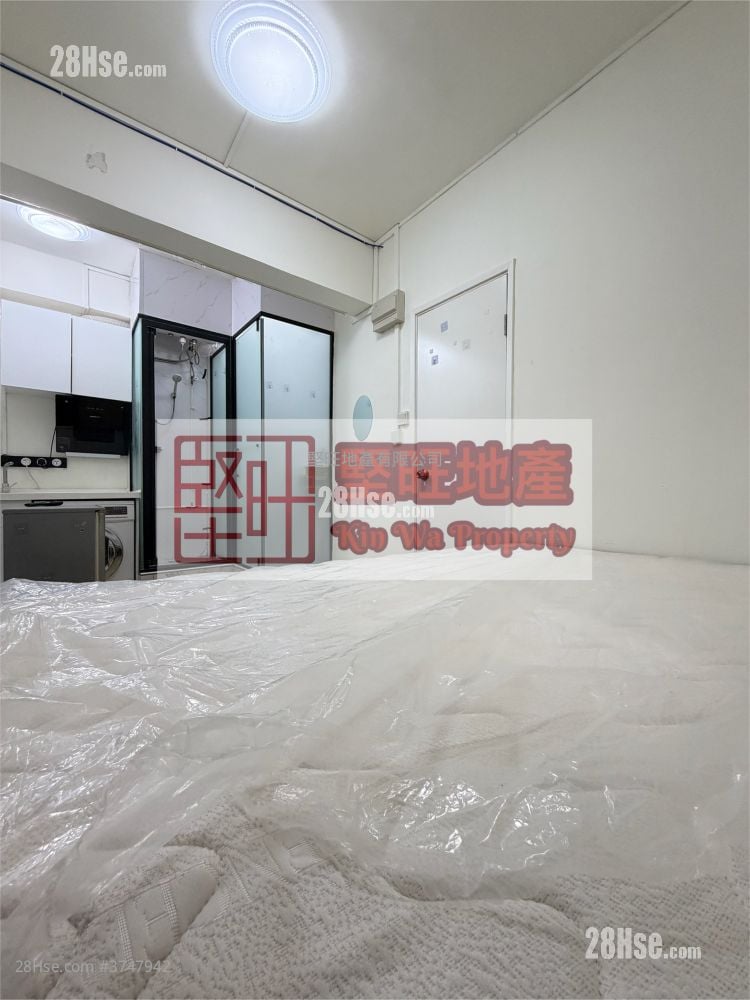 单幢楼房 租盘 开放式间隔 , 1 浴室 130 平方尺