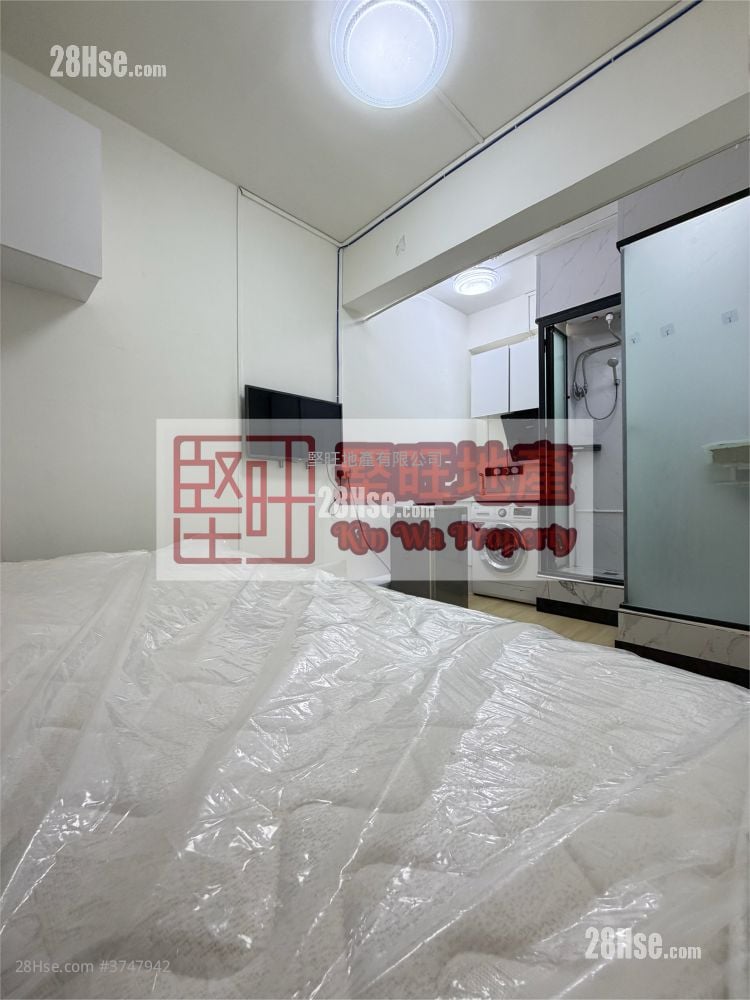 单幢楼房 租盘 开放式间隔 , 1 浴室 130 平方尺