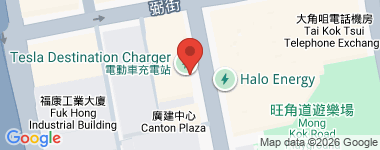 唐楼 全层 高层 物业地址