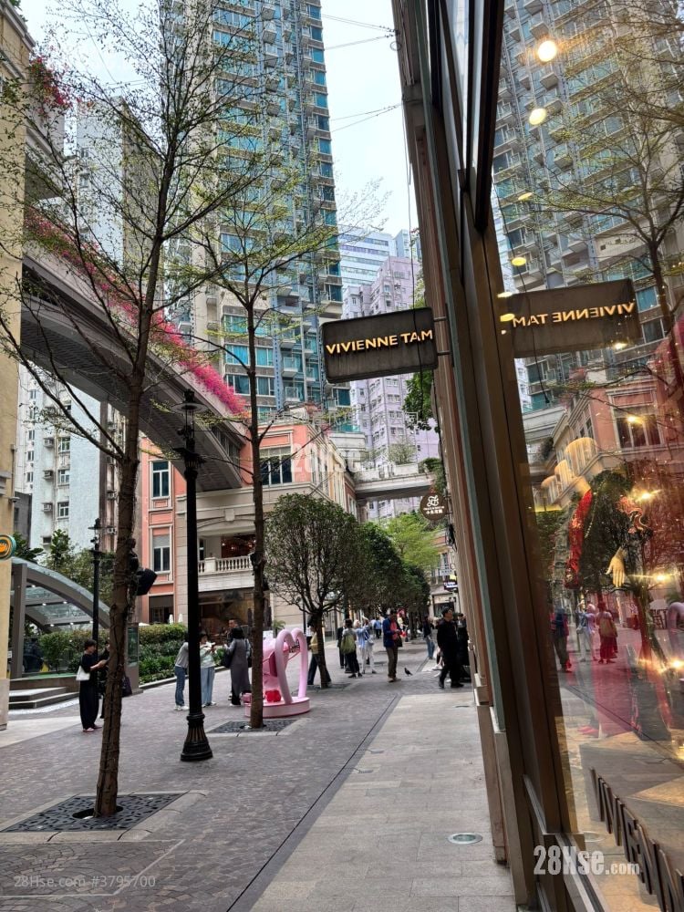 The Avenue Rental 338 ft²