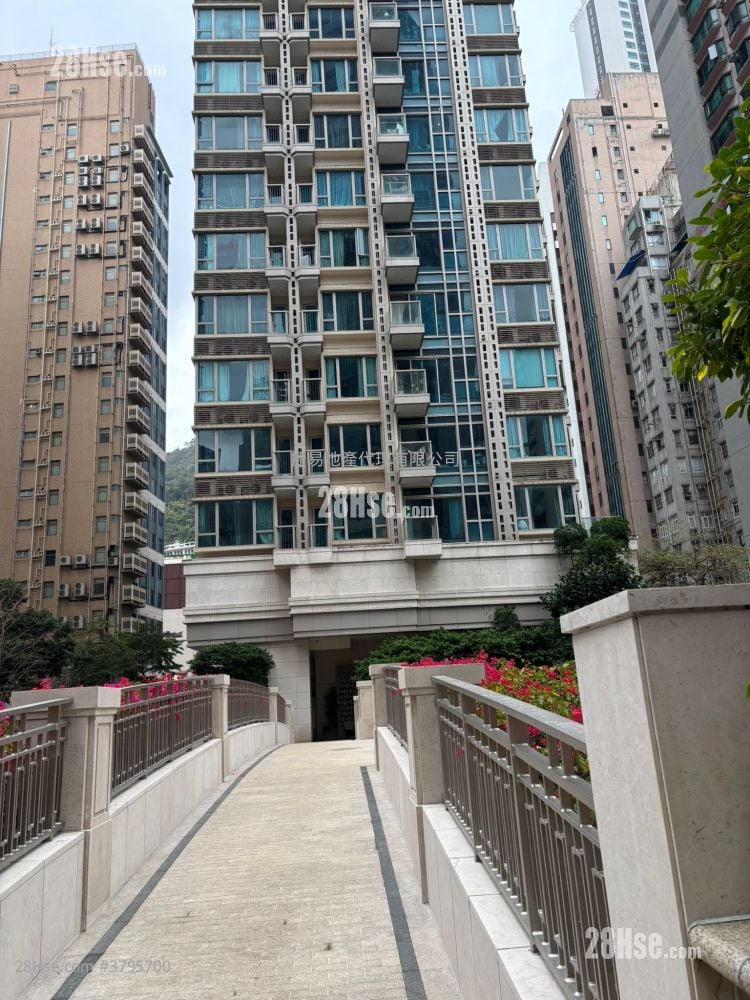 The Avenue Rental 338 ft²