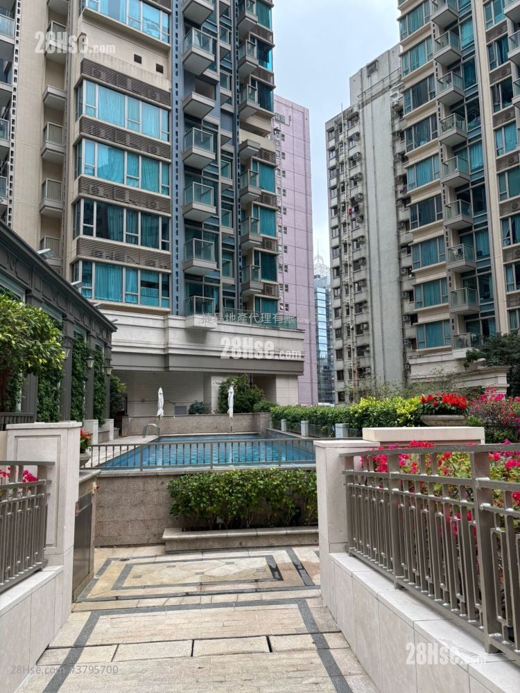 The Avenue Rental 338 ft²