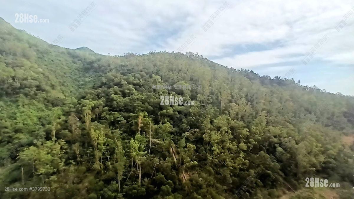 The Beaumount Sell 3 Bedrooms , 2 Bathrooms 694 ft²