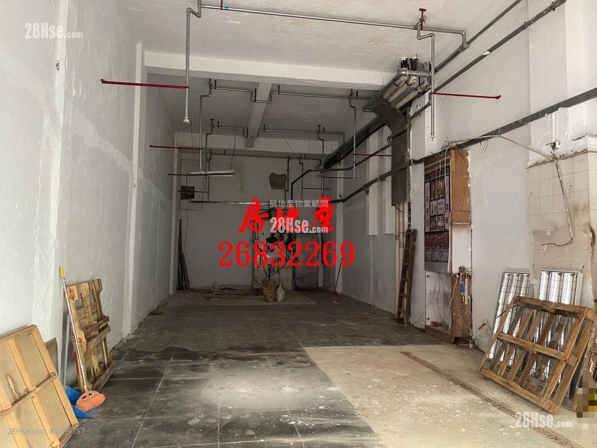 店舖Shop(粉嶺) Rental Studio , 1 Toilet